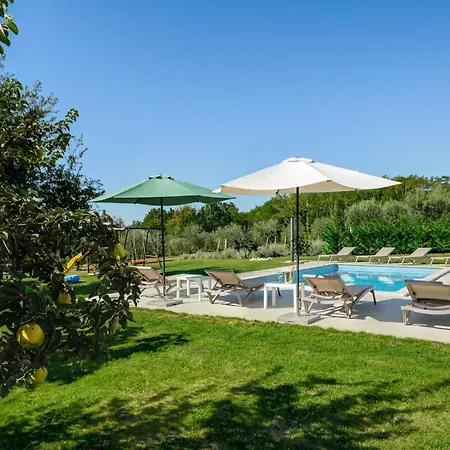 Stella Polaris * Stuti